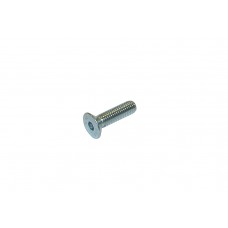 TPSCEI Screw 8 x 25