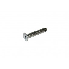 Drilled TPSCEI Screw 8 x 45